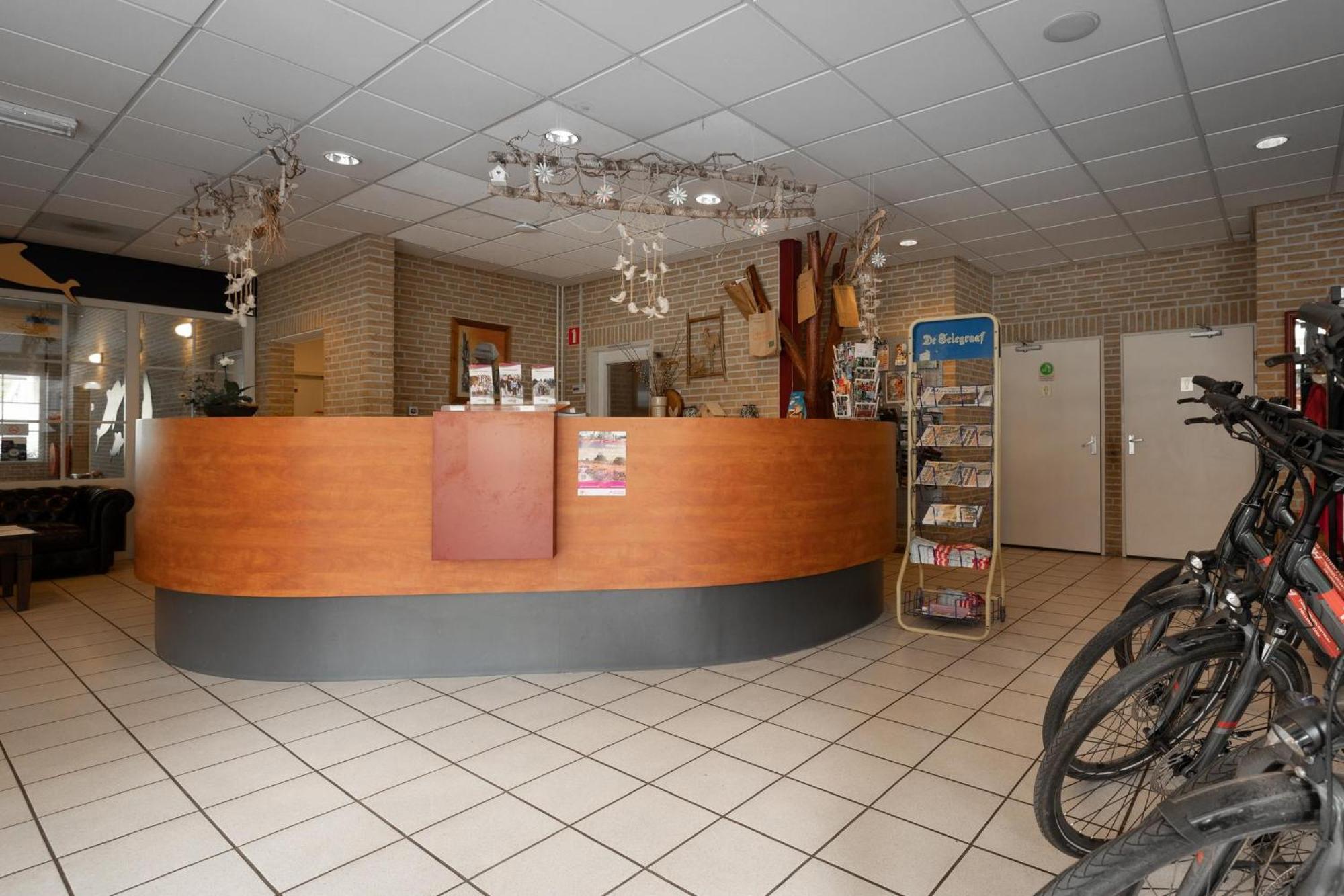 Bungalow - 6 Personen Gelegen In De Nabije Omgeving Van Avonturenpark Hellendoorn En De Prachtige Sallandse Heuvelrug En Eelerberg Экстерьер фото